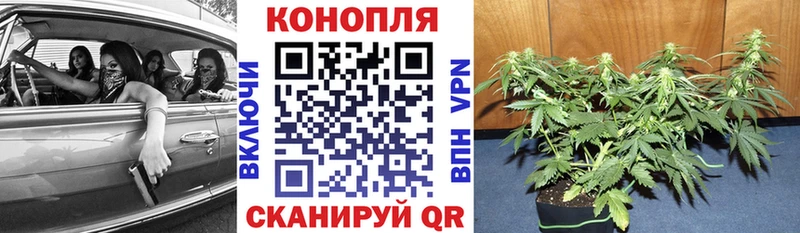 МАРИХУАНА SATIVA & INDICA Суздаль
